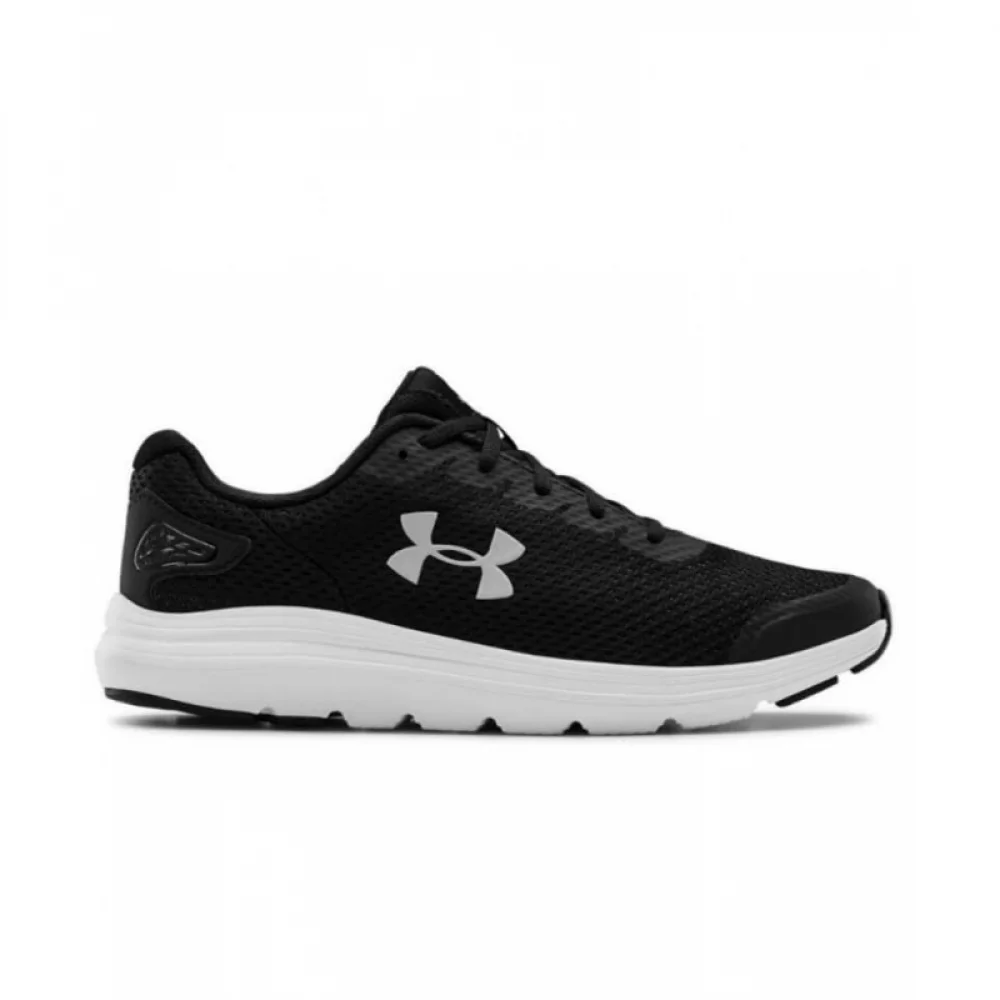Кроссовки Under Armour Surge 2